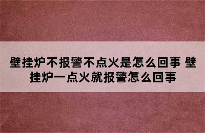 壁挂炉不报警不点火是怎么回事 壁挂炉一点火就报警怎么回事